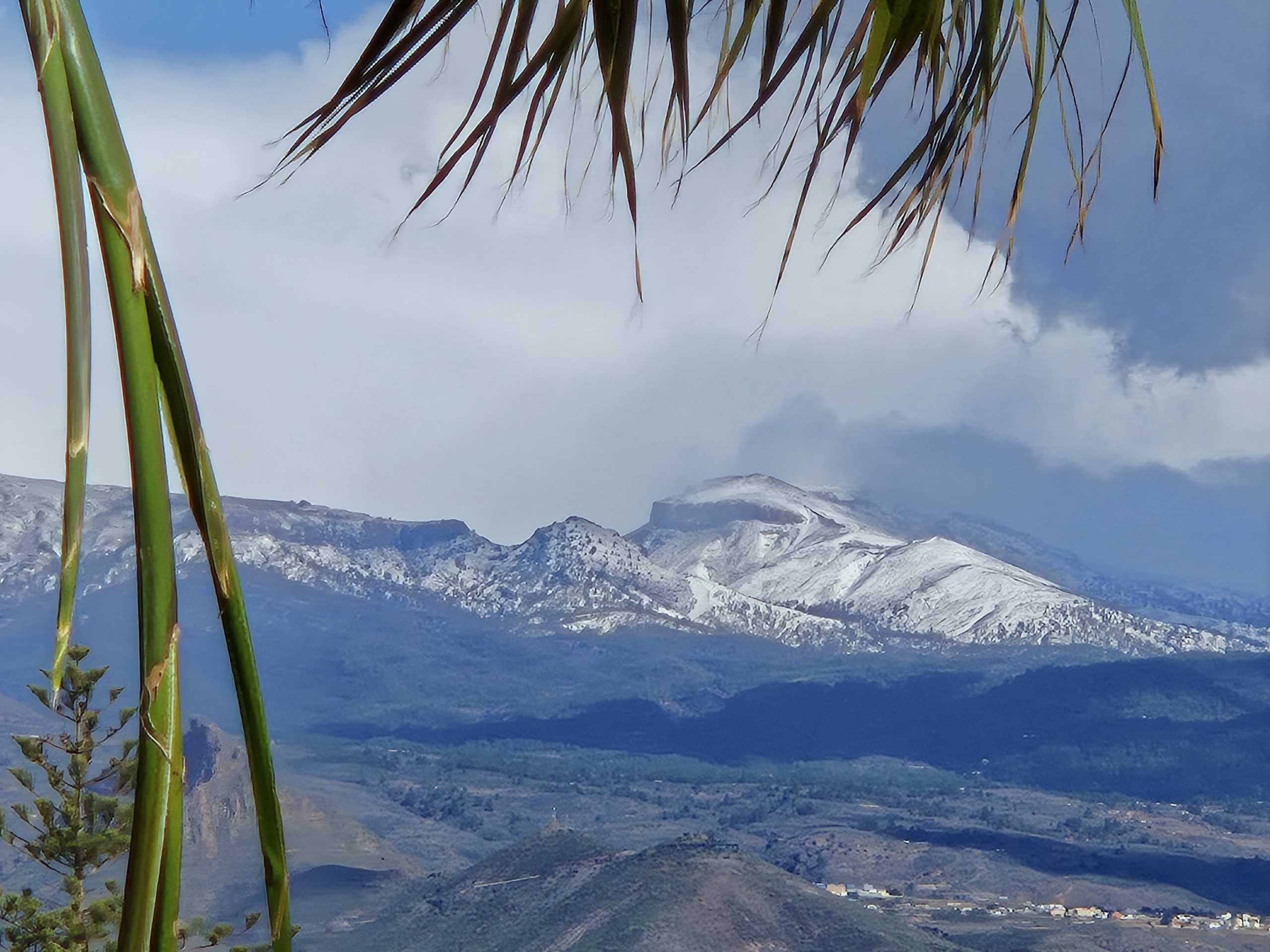 Tenerife Galleri